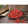 350 size goji berry Traditional Factory direct supply